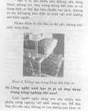 Bác sĩ cây trồng : Kỹ thuật gieo trồng và chăm sóc cây part 9