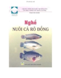 Hướng dẫn nuôi cá rô đồng: Phần 1