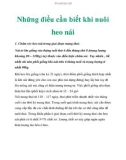 Những điều cần biết khi nuôi heo nái