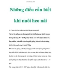 Những điều cần biết khi nuôi heo nái