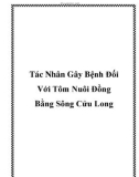 Tác Nhân Gây Bệnh Đối Với Tôm Nuôi Đồng Bằng Sông Cửu Long