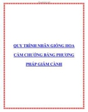 Quy trình nhân giống hoa cẩm chướng bằng phương pháp giâm cành