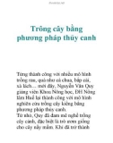 Trông cây với phương pháp thủy canh