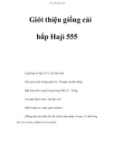 Giới thiệu giống cải bắp Haji 555