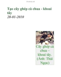 Tạo cây ghép cà chua - khoai tây