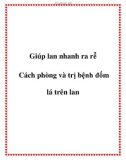 Giúp lan nhanh ra rễ và Cách phòng và trị bệnh đốm lá trên lan