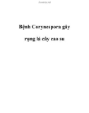 Bệnh Corynespora gây rụng lá cây cao su