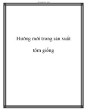 Hướng mới trong sản xuất tôm giống