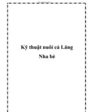 Kỹ thuật nuôi cá Lăng Nha bè