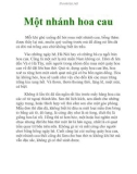 Một nhánh hoa cau