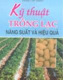 Hướng dẫn trồng lạc năng suất và hiệu quả