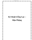 Kỹ thuật trồng Lạc – Đậu Phộng