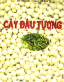 Cây đậu tương part 1