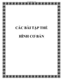 CÁC BÀI TẬP THỂ HÌNH CƠ BẢN