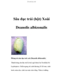 Sâu đục trái (hột) Xoài Deanolis albizonalis