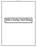 Kiểu Chuồng Nuôi Dông