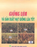 Sản xuất giống lúa tốt