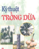 Kỹ thuật trồng Dừa cho cây nhiều trái