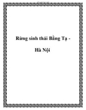 Rừng sinh thái Bằng Tạ Hà Nội