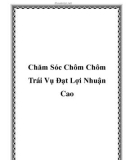 Chăm Sóc Chôm Chôm Trái Vụ Đạt Lợi Nhuận Cao