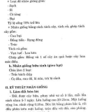 Trồng hoa, cây cảnh trong gia đình part 10