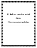 Kỹ thuật sản xuất giống nuôi cá thát lát (Notopterus notopterus Pallas)