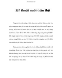 Kỹ thuật nuôi trâu thịt