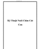 Kỹ Thuật Nuôi Chim Cút Con