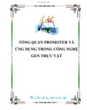 TỔNG QUAN PROMOTER VÀ ỨNG DỤNG TRONG CÔNG NGHỆ GEN THỰC VẬT