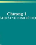 Chương 1 KHÁI QUÁT VỀ CƠ SƠ DỮ LIỆU