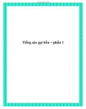 Tiếng sáo gọi hồn – phần 1