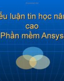 Tiểu luận Tin học nâng cao Phần mềm Ansys: Mô phỏng sự vỡ nát của 1 cái lon soda rỗng (Simulate the Crushing of an Empty Soda Can)