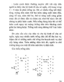 Kỹ thuật trồng cây ăn quả - Khóm (dứa) part 5