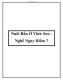 Nuôi Rắn Ở Vĩnh Sơn Nghề Nguy Hiểm ?