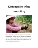 Kinh nghiệm trồng rau trái vụ