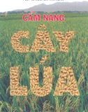 Cẩm nang cây lúa part 1