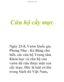 Cứu hộ cầy mực