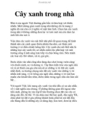 Cây xanh trong nhà