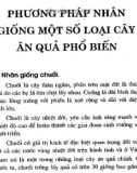 Phương pháp nhân giống một số loại cây ăn quả phổ biến