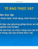 Bài giảng Thực vật thuốc: Tế bào thực vật