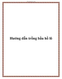 Hướng dẫn trồng bầu hồ lô