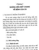 Những hiểu biết chung về bệnh của cá