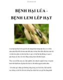 BỆNH HẠI LÚA BỆNH LEM LÉP HẠT