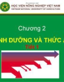 Bài giảng Chăn nuôi trâu bò - Chương 2: Dinh dưỡng và thức ăn (Tiết 1)