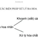 Các biện pháp xử lý ra hoa