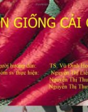 Chọn giống cải củ