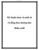 Kỹ thuật chọn và nuôi cá rô đồng theo hướng bán thâm canh