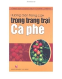 Trang trại cà phê - Cách trồng cây trong trang trại