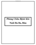 Phòng Chữa Bệnh Khi Nuôi Ba Ba, Rùa