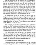 Cây ngô, kỹ thuật thâm canh tăng năng suất part 9